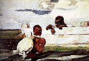 Winslow Homer, Turtles captured in